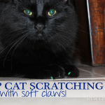 Soft Claws {Stop the Scratching!}